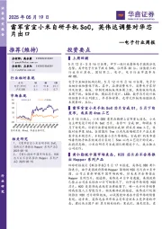 电子行业周报:雷军官宣小米自研手机SoC,英伟达调整对华芯片出口