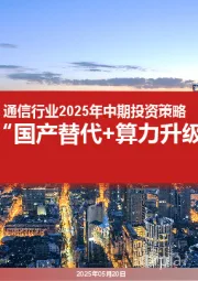 通信行业2025年中期投资策略:“国产替代+算力升级”双主线