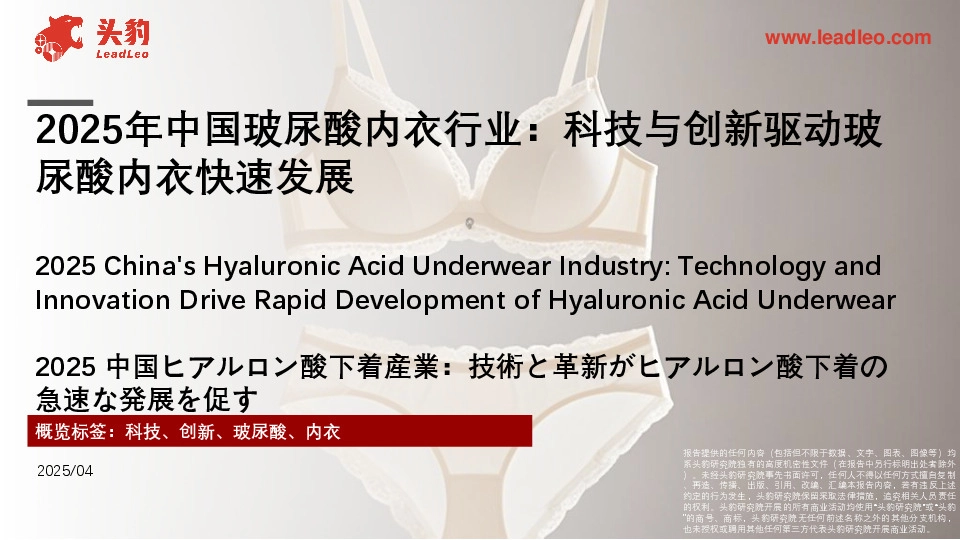 2025年中国玻尿酸内衣行业：科技与创新驱动玻尿酸内衣快速发展