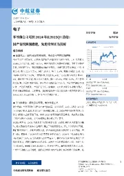 半导体自主可控2024年&2025Q1总结：国产替代纵深推进，先进攻坚正当其时