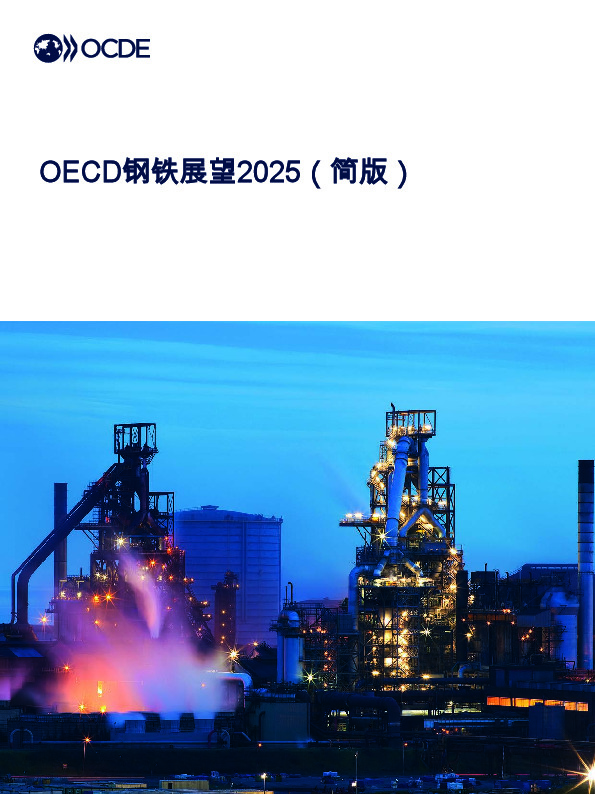 OECD钢铁展望2025（简版）