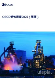 OECD钢铁展望2025（简版）
