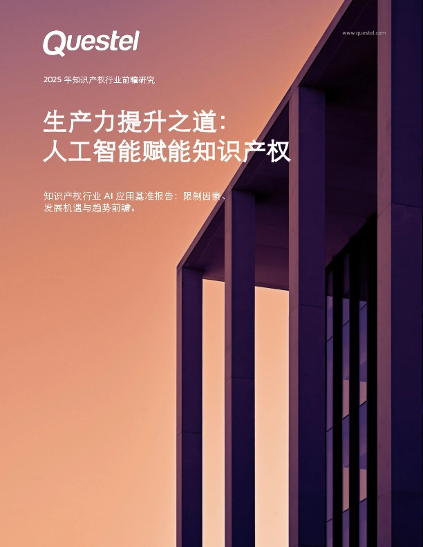 2025年知识产权行业前瞻研究：生产力提升之道：人工智能赋能知识产权