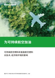 为可持续航空加油：可持续航空燃料和氢能航空燃料对技术、经济和环境的影响