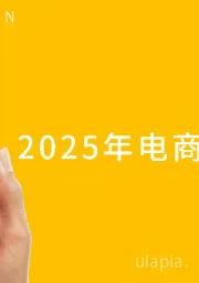 2025年电商行业发展报告