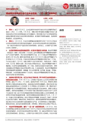 农药行业事件点评:康宽爆炸事故或引全行业安全检查,“一证一品”新政临近