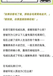 2025年轻人毛绒玩具报告