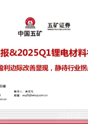 2024年报&2025Q1锂电材料行业趋势：盈利边际改善显现，静待行业拐点