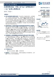 电子行业点评报告:大厂自研三两事系列-从哲库到玄戒:手机AP SoC自研的启示