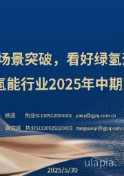 氢能行业2025年中期策略：船舶绿色燃料场景突破，看好绿氢运营及设备商