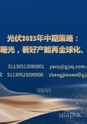 光伏2025年中期策略：供给侧困境反转见曙光，看好产能再全球化、技术迭代破局机会
