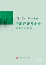 2025第一季度房地产开发企业信用状况报告
