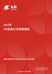 XR设备：从技术突破到医疗影像新革命，解码体内影像“数字眼” 头豹词条报告系列