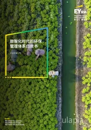 数智化时代的环保管理体系白皮书2025年5月