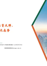 电子行业：25Q1全球TWS耳机出货反弹，平板电脑市场延续增长态势