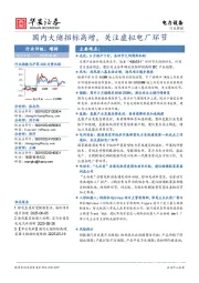 电力设备行业周报：国内大储招标高增，关注虚拟电厂环节