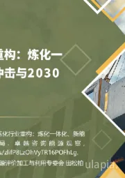 中国炼化行业重构：炼化一体化、新能源冲击与2030战略棋局