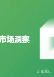 粮油调味市场洞察趋势报告