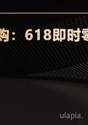 美团闪购：618即时零售研究