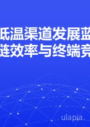 乳制品低温渠道发展蓝皮书：冷链效率与终端竞争
