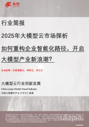 2025年大模型云市场探析：如何重构企业智能化路径，开启大模型产业新浪潮？