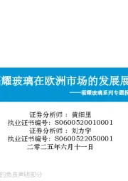 福耀玻璃系列专题报告(六):福耀玻璃在欧洲市场的发展展望