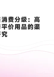 母婴零售消费分级：高端产品与平价用品的渠道分流研究