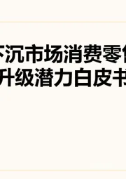 下沉市场消费零售升级潜力白皮书