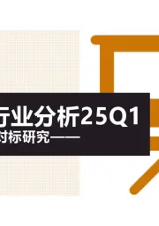 动力电池行业分析25Q1