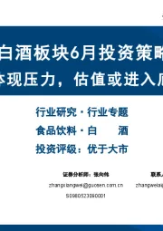 白酒板块6月投资策略：淡季价格体现压力，估值或进入底部布局期