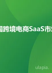 2025年中国跨境电商SaaS市场行业报告