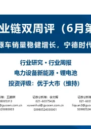锂电产业链双周评(6月第1期):欧洲新能源车销量稳健增长,宁德时代入通在即