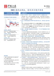 电力设备行业周报：SNEC展新品频出，海风项目稳步推进