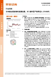 电力设备及新能源行业周报：日本通过促进海风发展法案，BC组件量产效率迈入25%时代