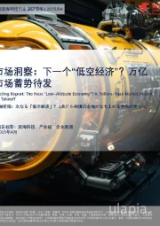 中国深海科技行业调研简报：市场洞察：下一个“低空经济”？方亿市场蓄势待发