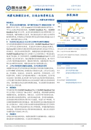 鸿蒙电脑专题报告：鸿蒙电脑横空出世，打造全场景新生态