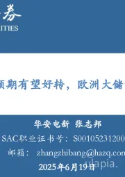 电新：国内大储弱预期有望好转，欧洲大储景气度较高