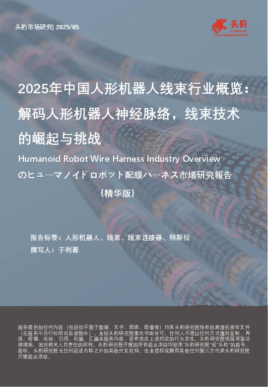 2025年中国人形机器人线束行业概览：解码人形机器人神经脉络，线束技术的崛起与挑战（精华版）