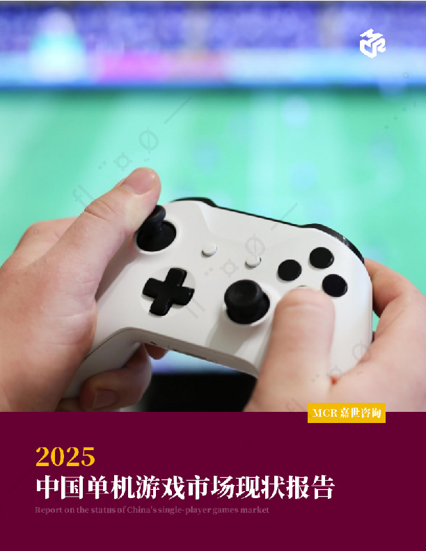 2025中国单机游戏市场现状报告
