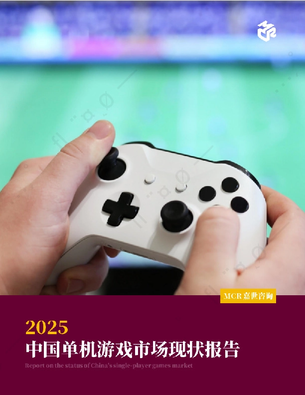 2025中国单机游戏市场现状报告