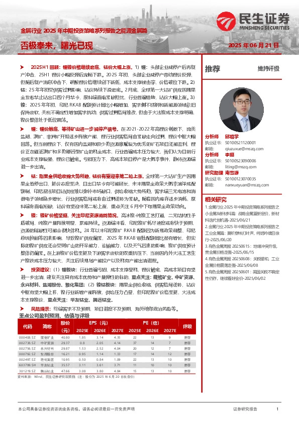 金属行业2025年中期投资策略系列报告之能源金属篇：否极泰来，曙光已现