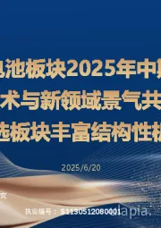 整车与电池行业板块2025年中期策略:新技术与新领域景气共振,优选板块丰富结构性机遇