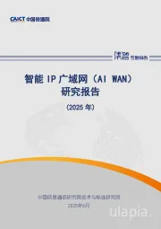 智能IP广域网（AI WAN）研究报告（2025年）