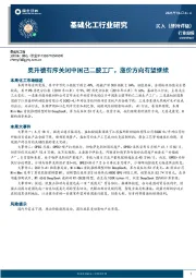 基础化工行业周报：奥升德有序关闭中国己二胺工厂，涨价方向有望继续
