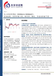 化工新材料行业周报：生物航煤、溴素价格上涨，维生素、腈纶、多晶硅价格下滑
