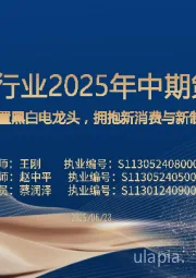 家电行业2025年中期策略:配置黑白电龙头,拥抱新消费与新制造