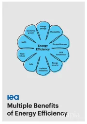 Multiple Benefits 0f Energy Efficiency