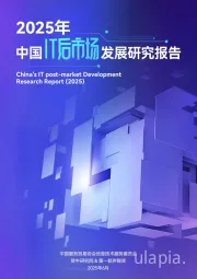 2025年中国IT后市场发展研究报告