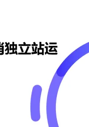 跨境快消独立站运营指南