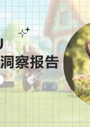 LABUBU顶流现象洞察报告